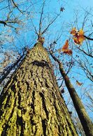 Michal Buzalka - Pohľad z mladiny (základné školy)