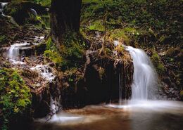 Michal Macháček - Sila prírody (stredné školy, 2. cena)