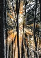 Oliver Kanala - Prichádza (základné školy, 1. cena)