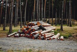 Radoslav Rohárik - Aj my takto (do)padneme? (základné školy)