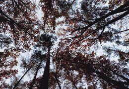 Vanessa Sanzó - Krehká strecha (základné školy)