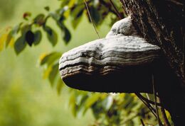 Zuzana Ďurinová - Proti gravitácii (základné školy)