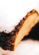 Dávid Jakubec - Chlebodarca (stredné školy)