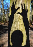 Jerguš Polák - Kolibský obor (základné školy)