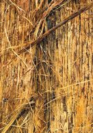 Karol Kačala - Kurtove vlasy (stredné školy)