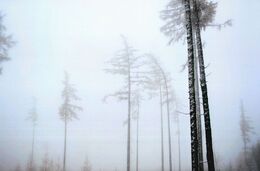 Lívia Samolejová - Skrytí a v hmle (základné školy)