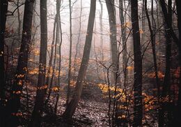 Lukáš Galbavý - Jesenné ticho (základné školy)