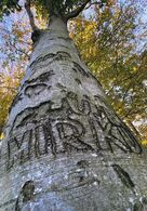 Tomáš Dunaj - Milujem Mirku (stredné školy)