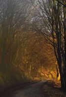 Zuzana Ďurinová - Cesta za svetlom (základné školy)