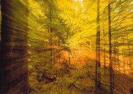 Lenka Bretzová - Prebudenie (stredné školy)