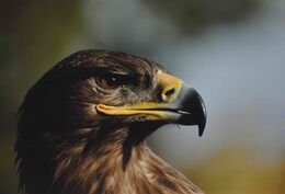 Dávid Čandík - bez názvu (stredné školy)