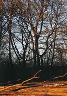 Milan Groško - Zlatá hodinka I (stredné školy)