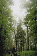 Michal Gubiš - Za svetlom (stredné školy, 3. cena)