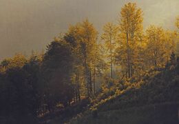 Pavol Hanzel - Poézia lesa (stredné školy, 2. cena)