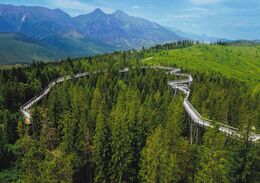 Matúš Holubec - Nie do lesa a predsa do lesa (základné školy)