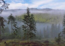 Ján Ištok - Hmla (stredné školy)