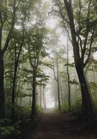 Oliver Kanala - Jedno jarné ráno (základné školy, 1. cena)