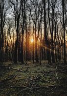 Oliver Kanala - Prebúdzanie (základné školy, 1. cena)