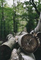 Monika Magdová - Človekom zničený (stredné školy)