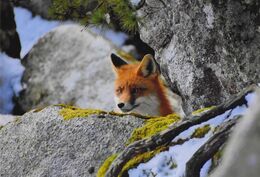 Radoslav Rohárik - Hej, tu som (základné školy)