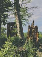 Adam Vaňko - Útulňa pri Pustom Hrade (stredné školy)