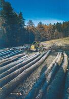 Boris Veličko - Pripravené na zimu (stredné školy)