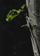 Barbora Vrábľová - Svetlo a tieň (základné školy)