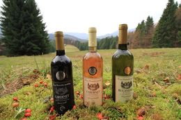 Lesnícke medailové vína v prírode