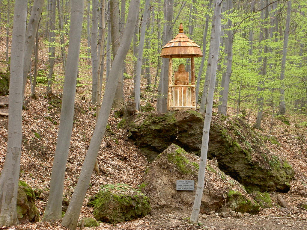 LNCH Tajch Obrázok LNCH Tajch