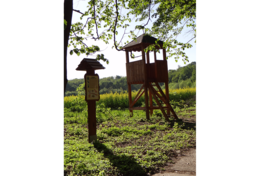 LNCH Sobranecké kúpele 3