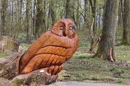 LNCH Sobranecké kúpele 4