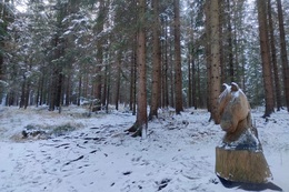 LNCH Oravská Lesná trasa