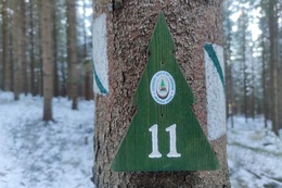 LNCH Oravská Lesná značenie