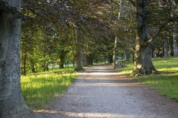 park_Topolcianky_chodnik