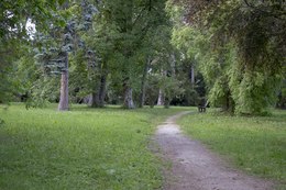 park_Topolcianky_chodnik_2