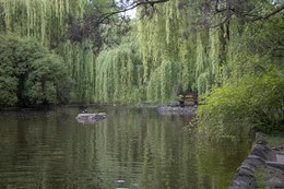 park_Topolcianky_jazierko