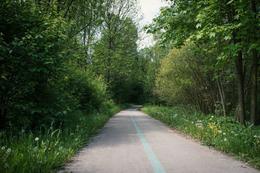 LNCH_Beskydska_zelena_cesta_2