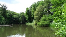 LNCH Duchonka - Kulháň rybník