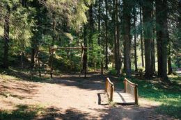 LNCH_Kysucky_detsky_les