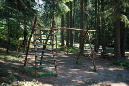 LNCH_Kysucky_detsky_les2