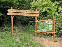 LNCH_Malych_netopierov_1