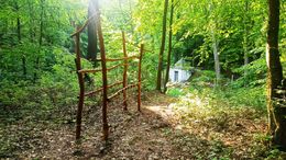 LNCH_Malych_netopierov_4