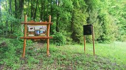 LNCH_Malych_netopierov_6