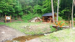 LNCH_Malych_netopierov_7