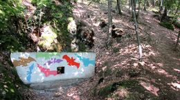 LNCH_Malych_netopierov_9