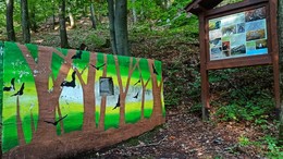 LNCH_Malych_netopierov_10