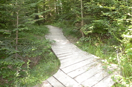 Udava_Solinka_chodnicek