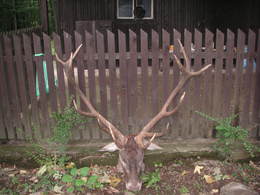 PR Slanské vrchy II.