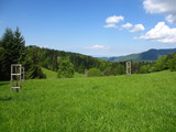Horská lúka