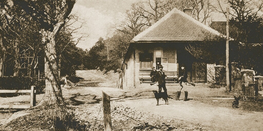 harmonia 1 | WebJET CMS